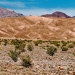 Stovepipe_Wells_Mountain_View_1210